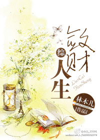 敛财人生系列小说
